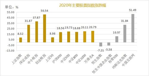 2021年股权投资策略建议 聚焦风险与机遇的平衡